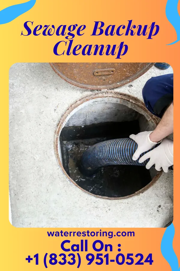 Sewage Backup Cleanup in Richfield, WI
